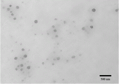 A pulmonary inhaled chitosan-based nano targeting polymer particles and its production method thereof