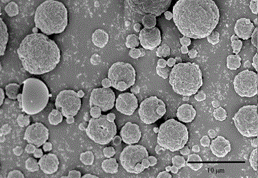 A pulmonary inhaled chitosan-based nano targeting polymer particles and its production method thereof