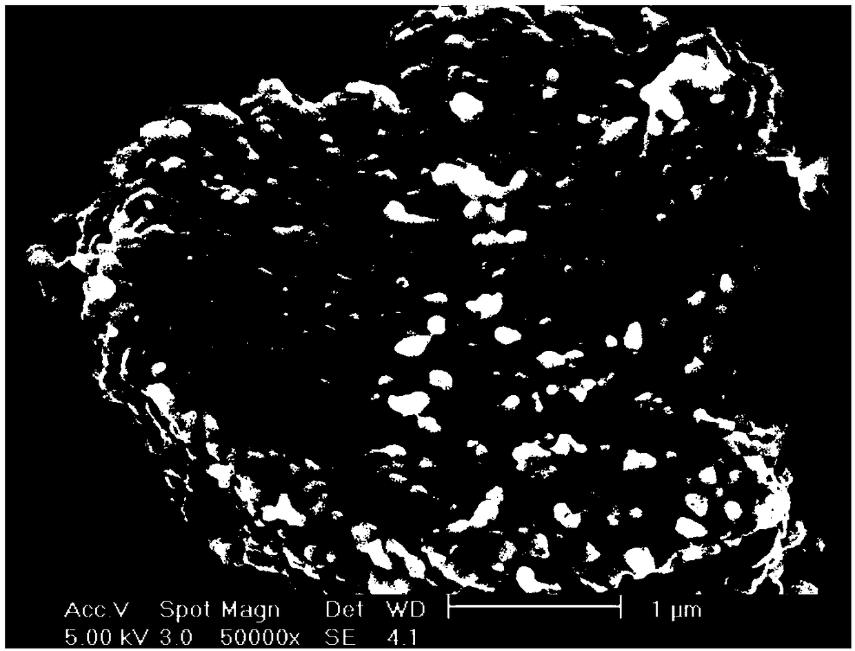 Lithium iron phosphate positive electrode material, preparation method thereof, and lithium ion battery