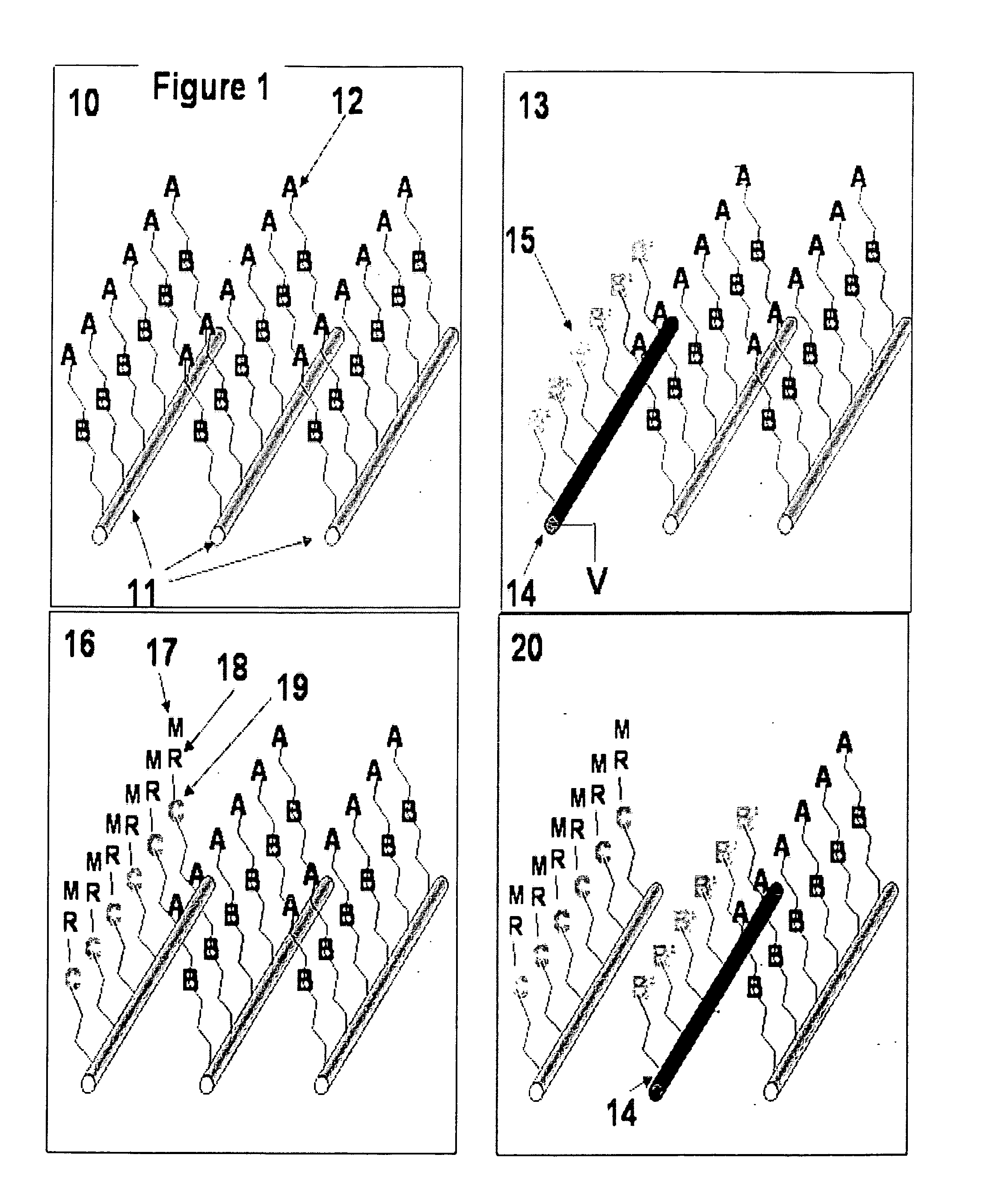 Electrochemical method and resulting structures for attaching molecular and biomolecular structures to semiconductor micro and nanostructures