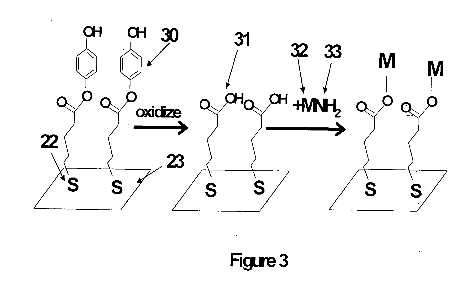 Electrochemical method and resulting structures for attaching molecular and biomolecular structures to semiconductor micro and nanostructures