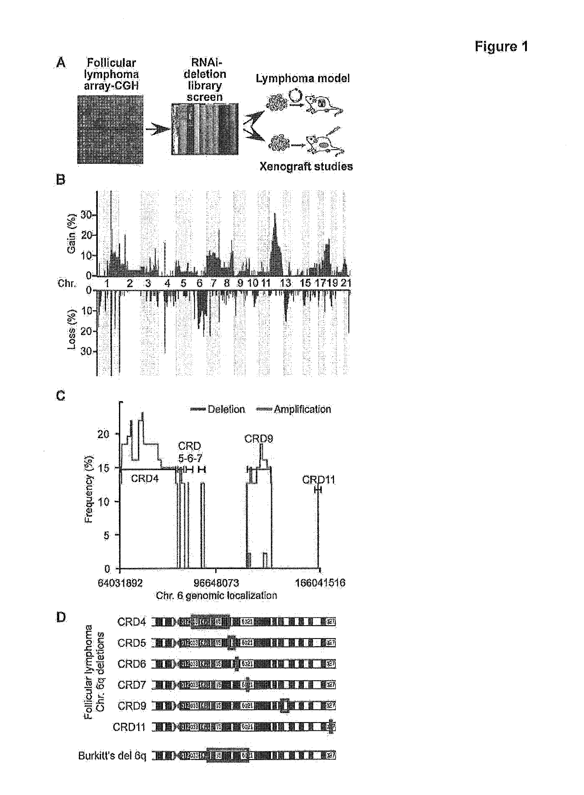 Anti-tumor antibody-tumor suppressor fusion protein compositions and methods of use for the treatment of cancer