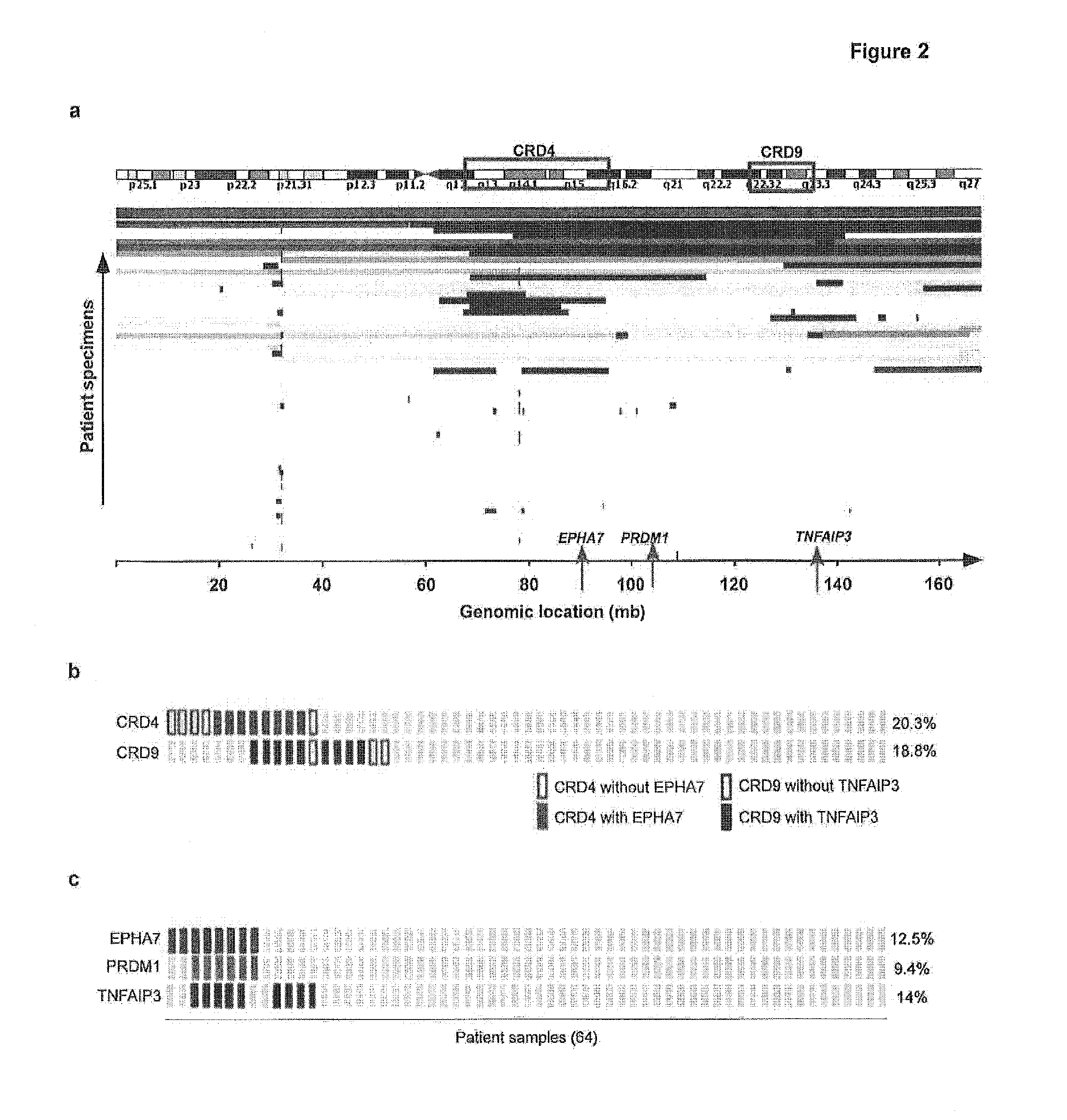 Anti-tumor antibody-tumor suppressor fusion protein compositions and methods of use for the treatment of cancer