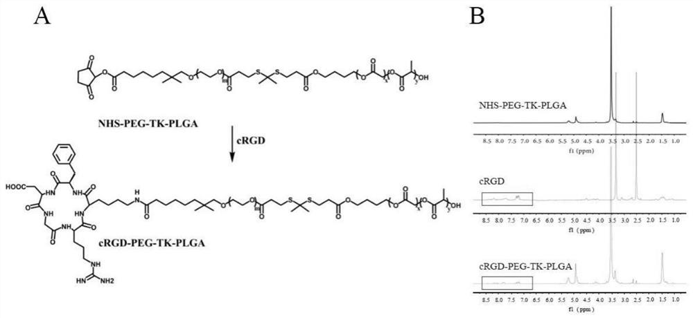 Active tumor targeting controlled-release drug nano-micelle and preparation method and application thereof