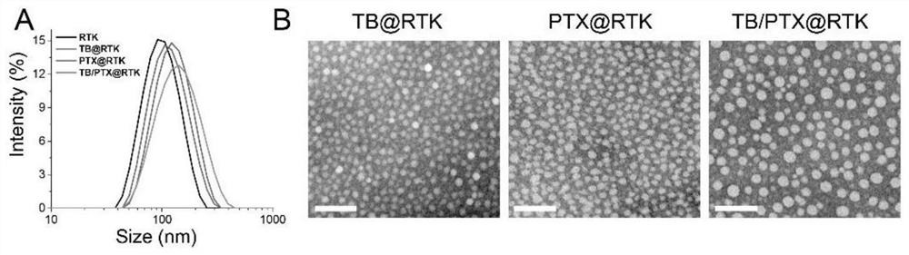 Active tumor targeting controlled-release drug nano-micelle and preparation method and application thereof