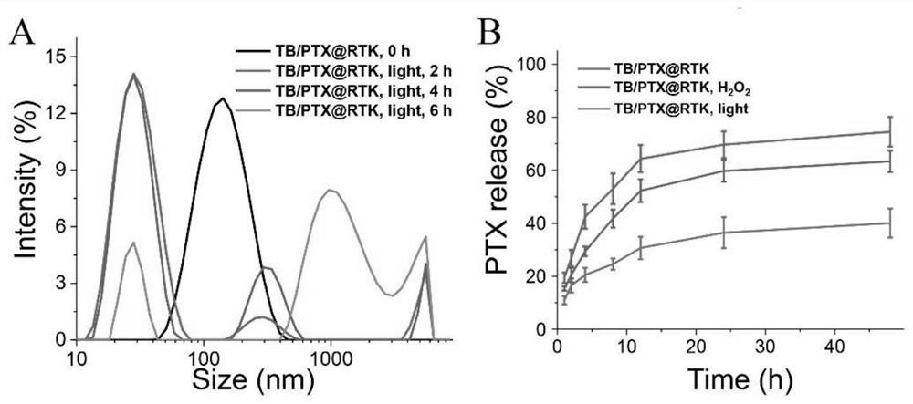 Active tumor targeting controlled-release drug nano-micelle and preparation method and application thereof