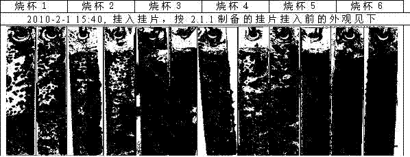 Phosphorus-free precleaning prefilming agent and cleaning process