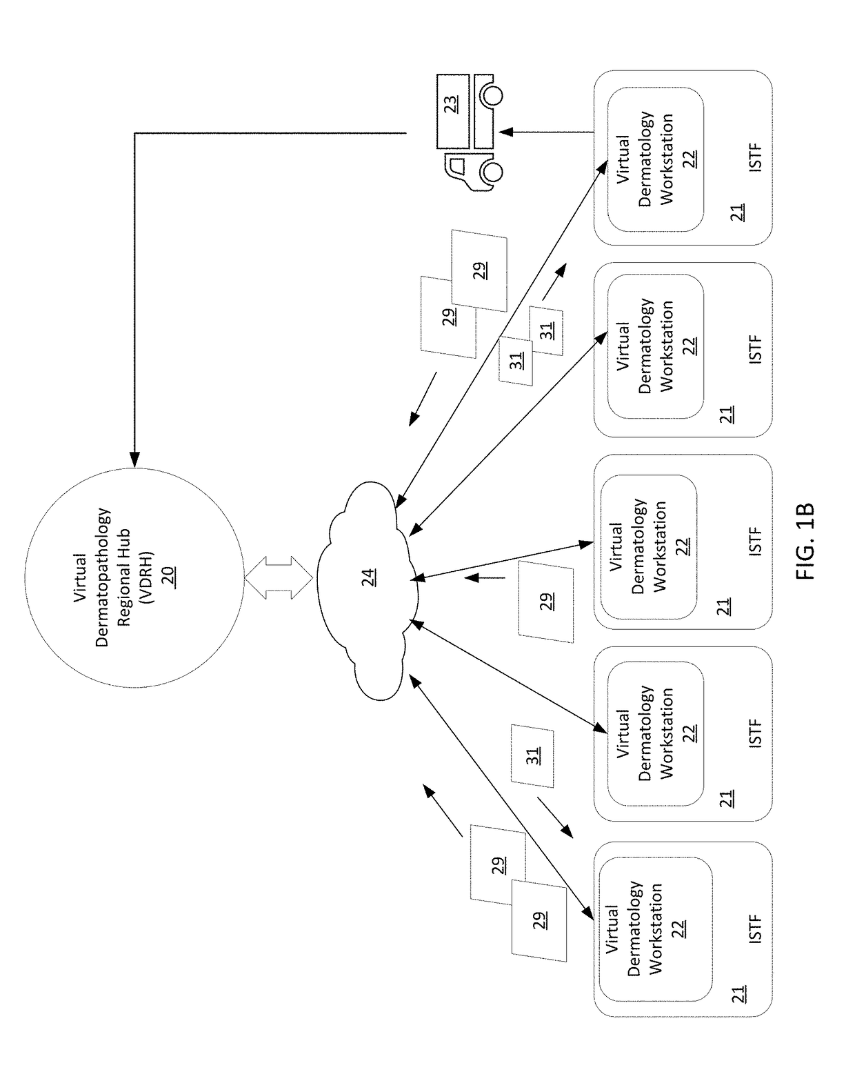 Virtual pathology for dermatology