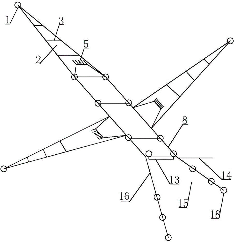 Special net device for catching catfishes in rivers and lakes