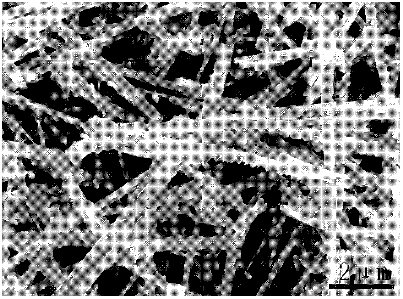 Preparation method of nanometer light-emitting material with CdS/Cr-doped structure