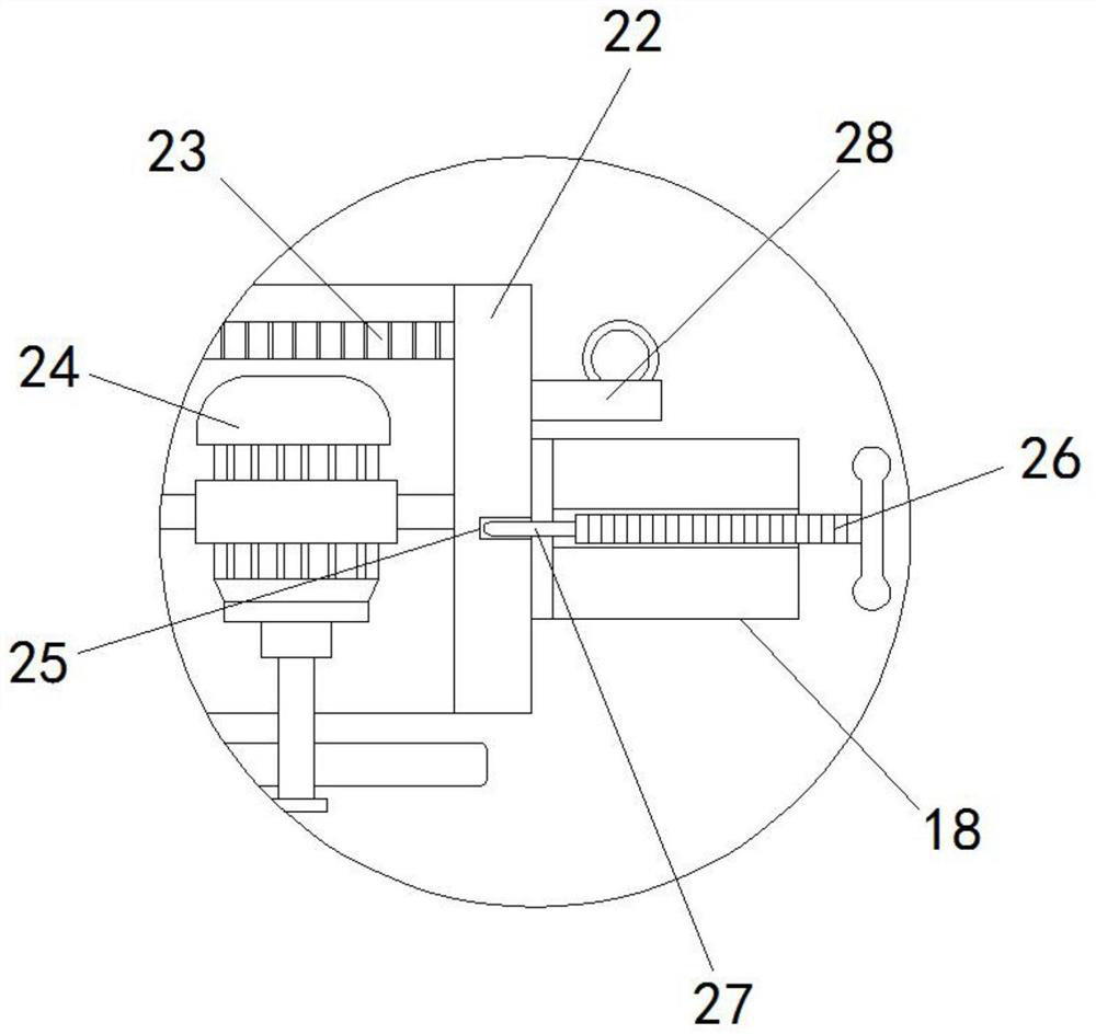 Integrated furnace body with annealing and curing functions