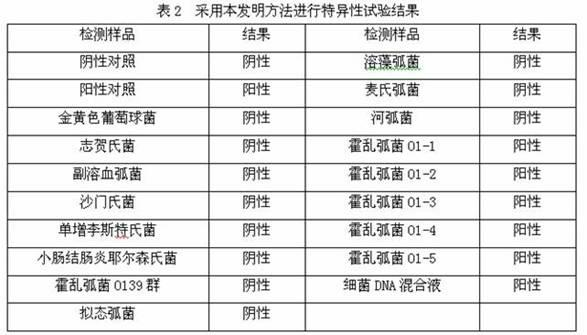 Detection kit for vibrio cholerae O1 group and detection method thereof