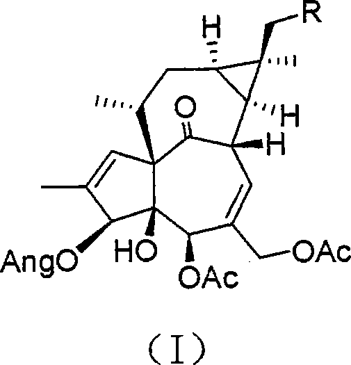 Antineoplastic medicine composition and application thereof