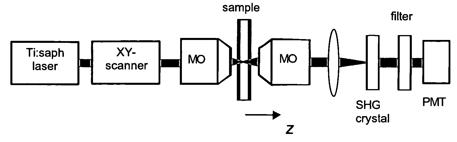 Confocal laser scanning microscopy apparatus