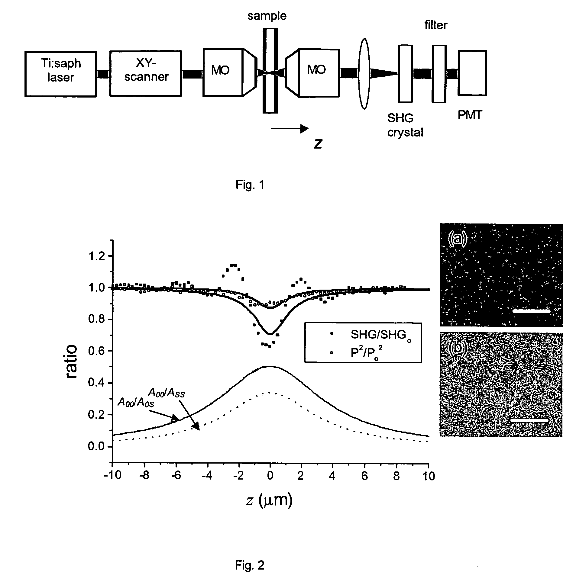 Confocal laser scanning microscopy apparatus