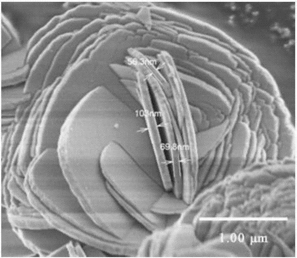 Preparation method of flower-like BiOCl photocatalyst, prepared BiOCl photocatalyst and application of BiOCl photocatalyst