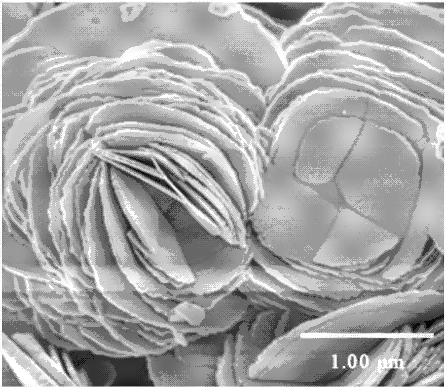 Preparation method of flower-like BiOCl photocatalyst, prepared BiOCl photocatalyst and application of BiOCl photocatalyst