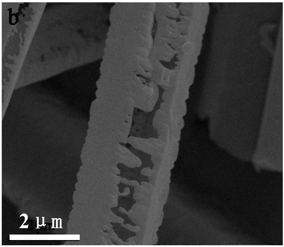 Synthesis method of graphite phase carbonitride homotype heterojunction photocatalysis material with multilayer structure and application