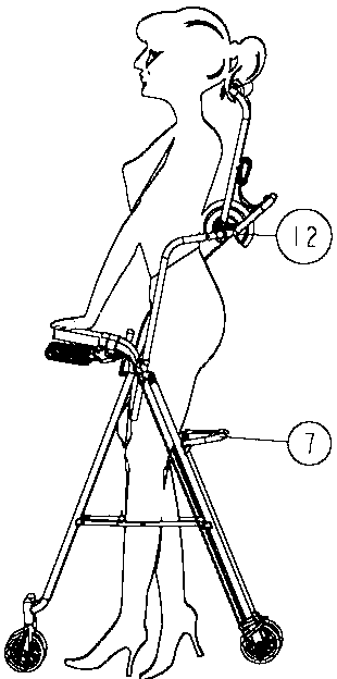 Traction and walking-aid vehicle