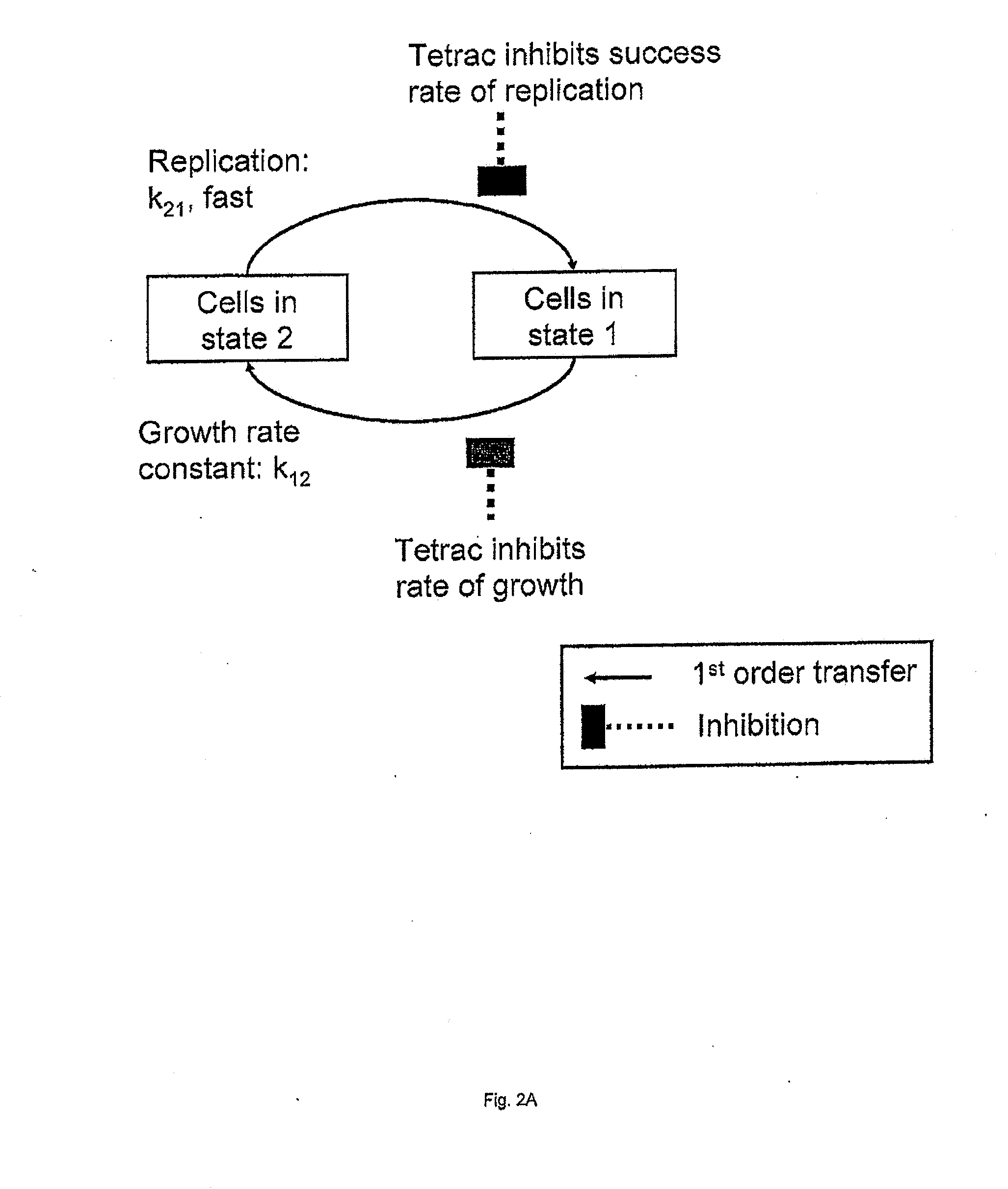 In Vitro Pharmacokinetics/Pharmacodynamics Bellows Perfusion System for Enhancing Effectiveness of Cancer Chemotherapy