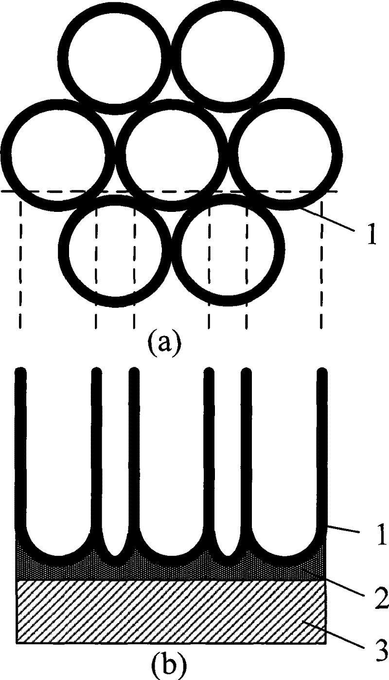 Nano composite electrode preparation for dye sensitization solar cell