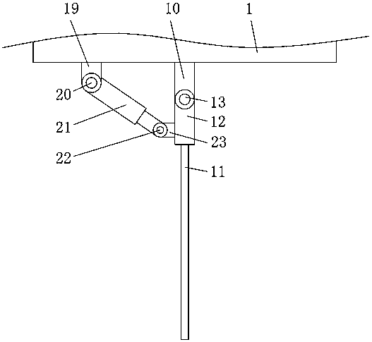 Water environment detection device for water biological evaluation