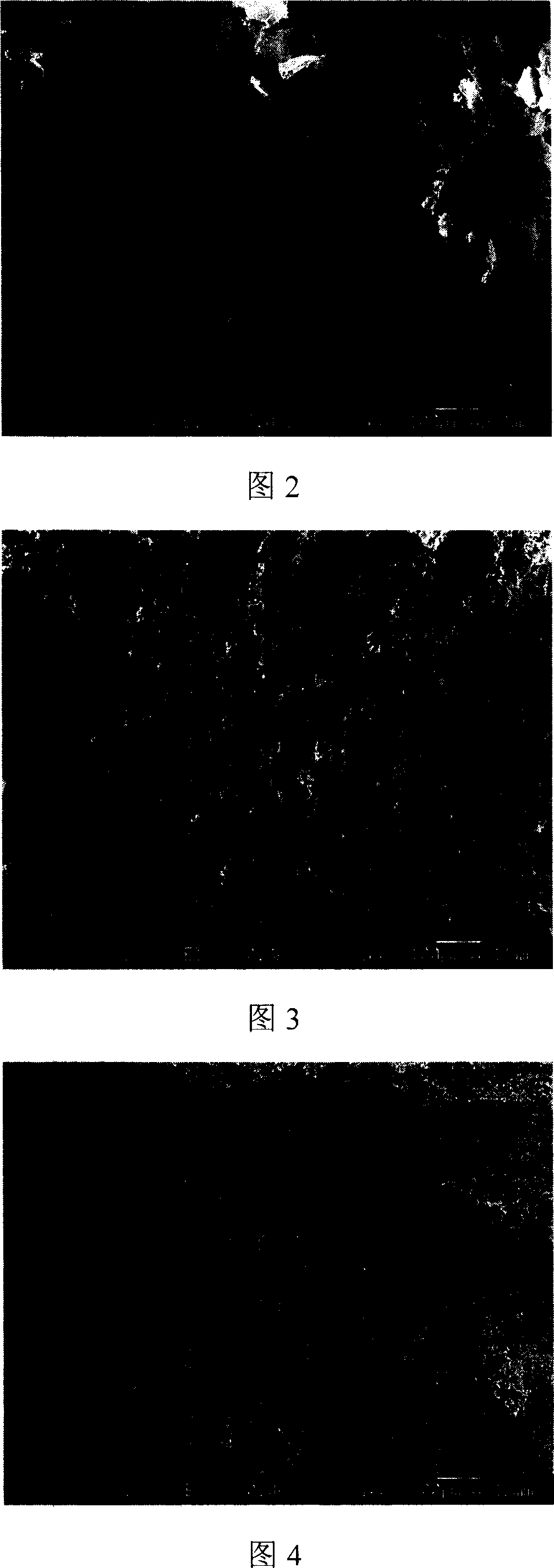 Method for preparing alumina porous ceramic using gelatin wrapping-freeze drying process