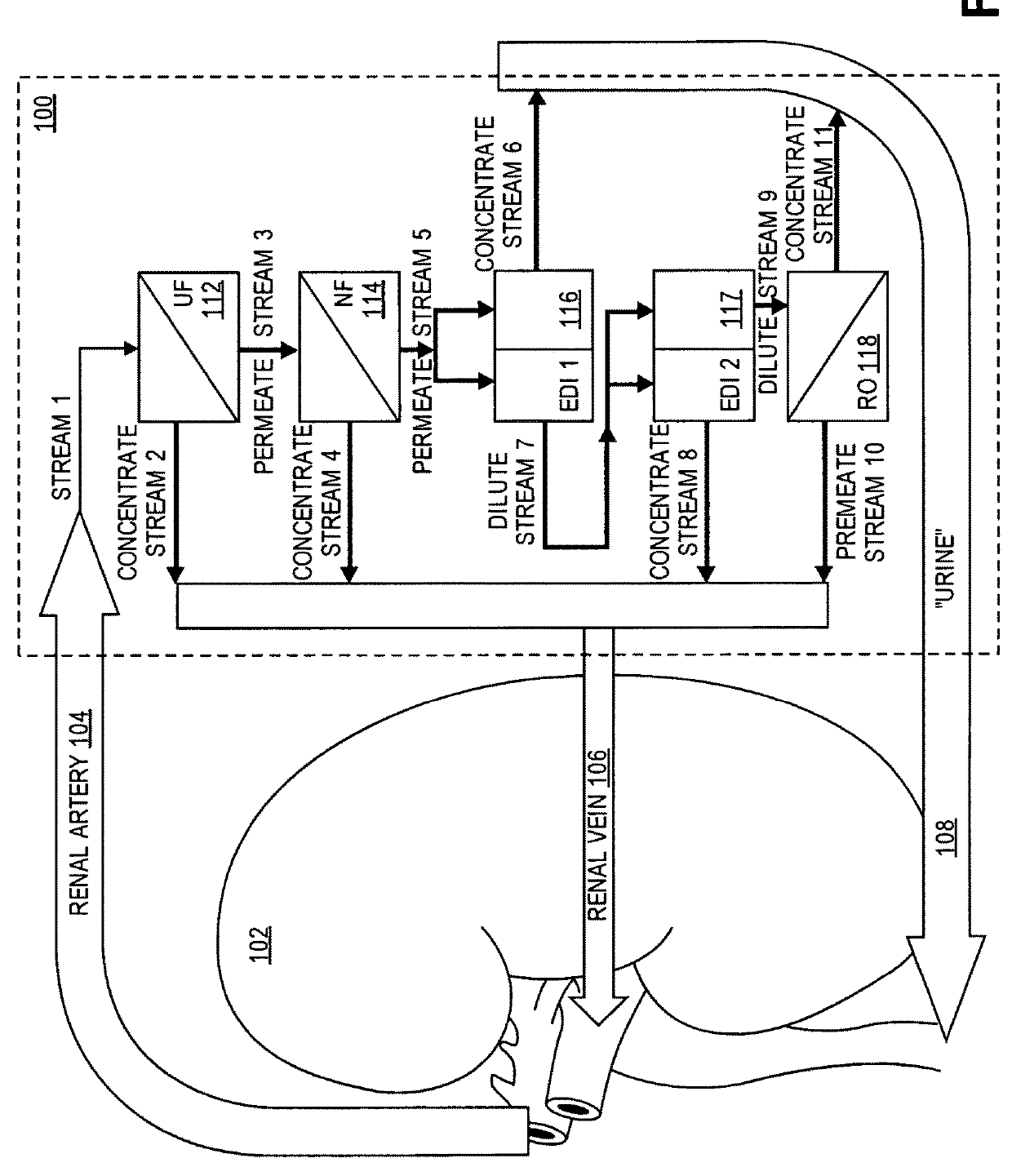 Dialysate free artificial kidney device