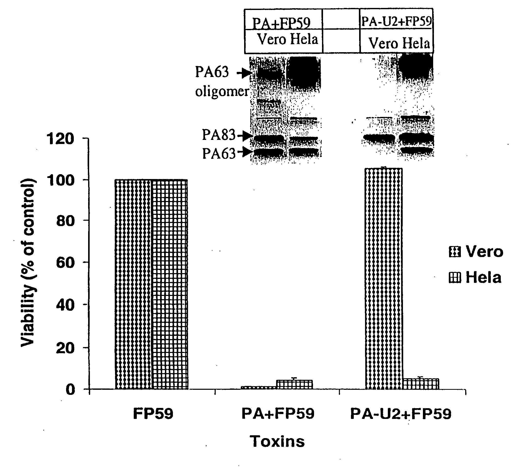 Mutated anthrax toxin protective antigen proteins that specifically target cells containing high amounts of cell-surface metalloproteinases or plasminogen activator receptors