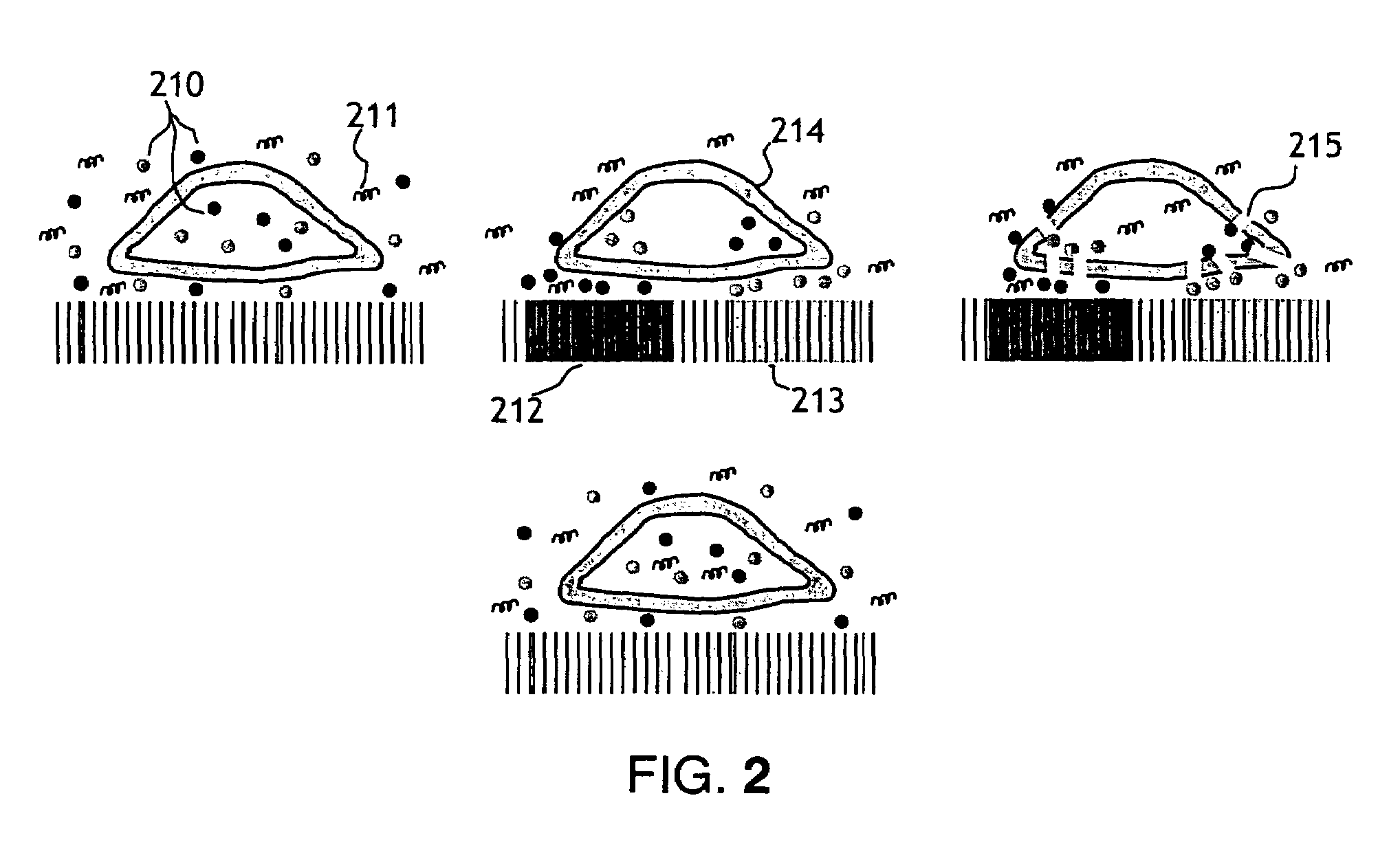 Microelectronic cell electroporation array