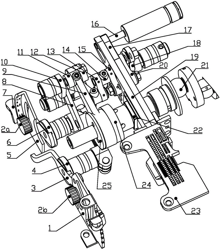 Stitch length and differential regulating mechanism and sewing machine