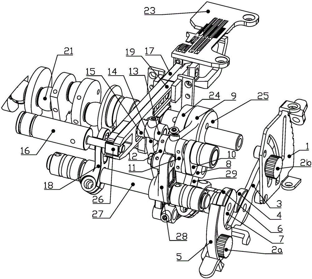 Stitch length and differential regulating mechanism and sewing machine