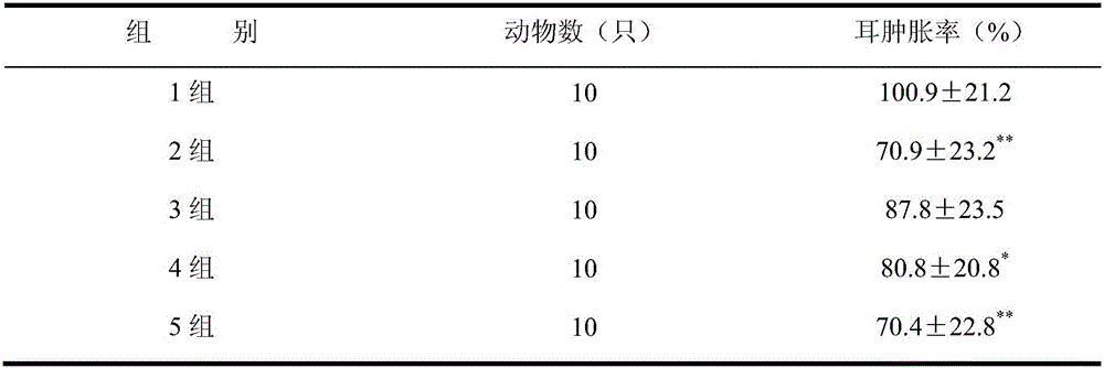 External strong medicine composition for treating traumatic injuries and preparation method thereof