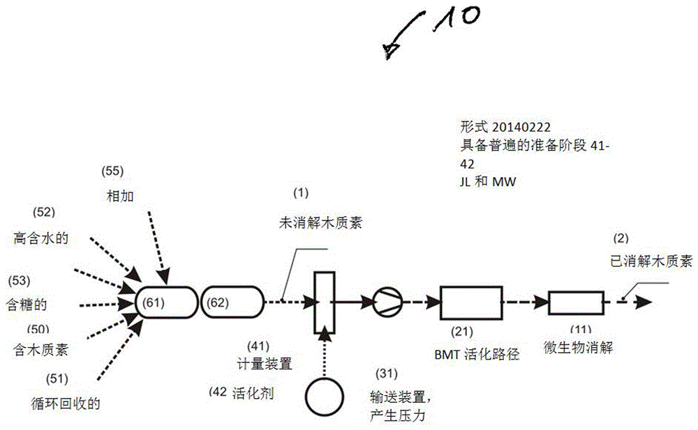 Device and method for generating biomass preparation