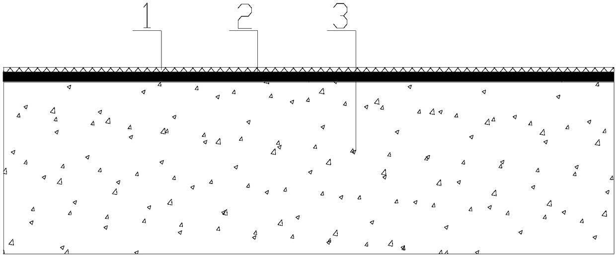 Sand-exposing concrete and preparation method thereof