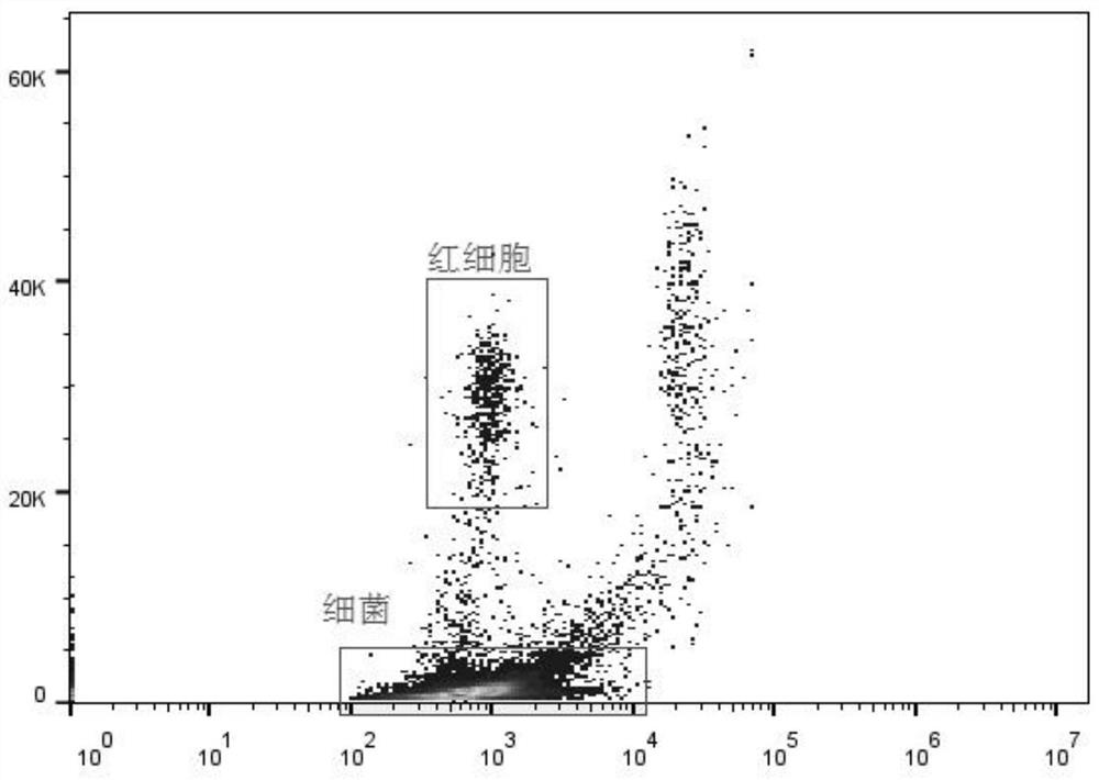 Diluent for urine visible component analysis and preparation method thereof