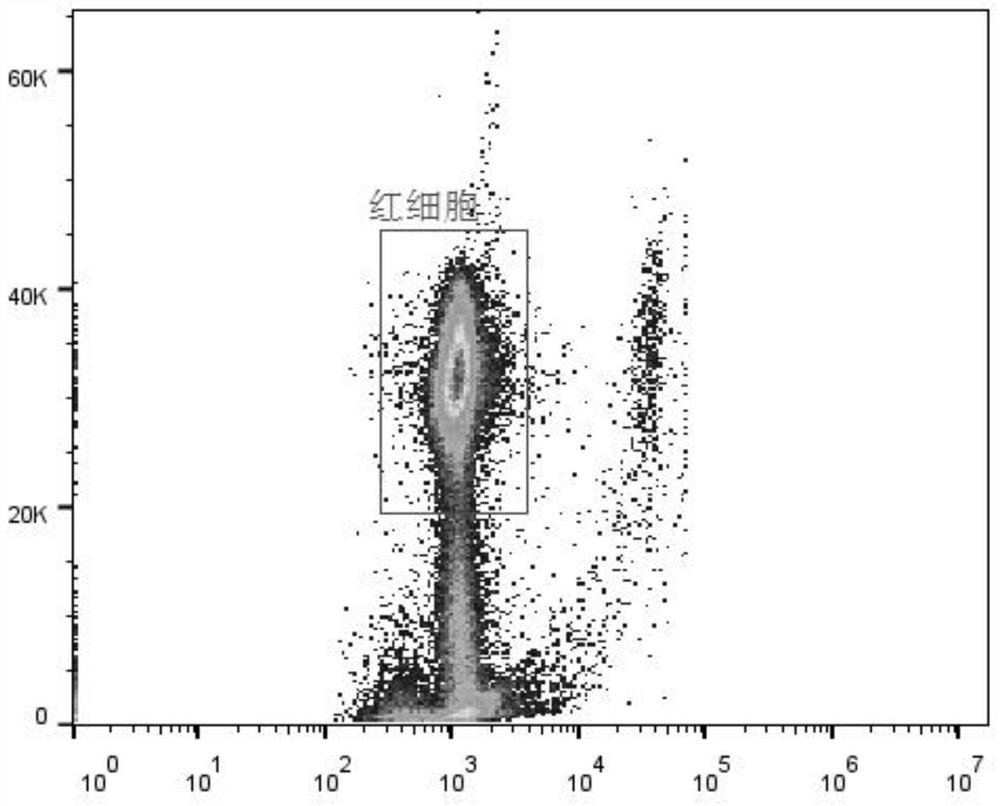 Diluent for urine visible component analysis and preparation method thereof