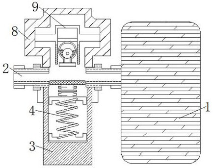 Oudemansiella raphanipies slicing and drying device