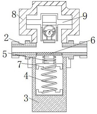 Oudemansiella raphanipies slicing and drying device