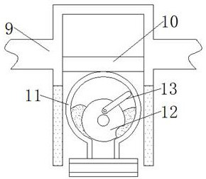 Oudemansiella raphanipies slicing and drying device