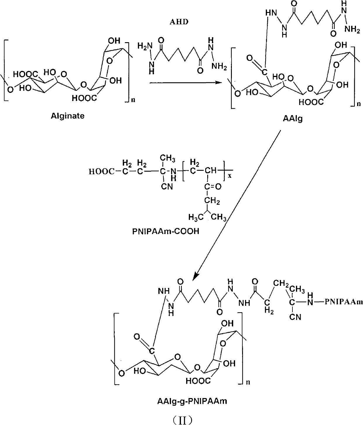 Aminated alginic acid and preparation method thereof