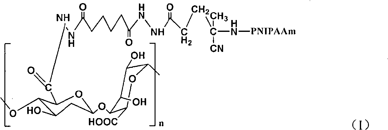 Aminated alginic acid and preparation method thereof