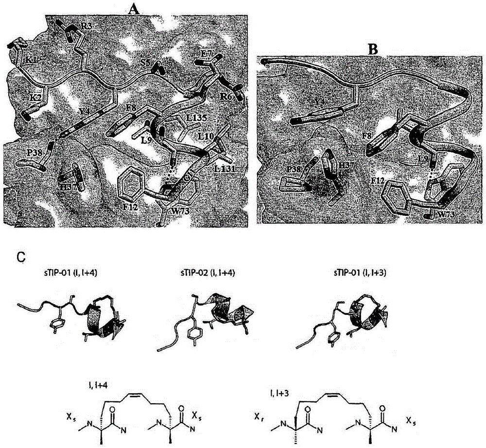 Stapling eif4e interacting peptides