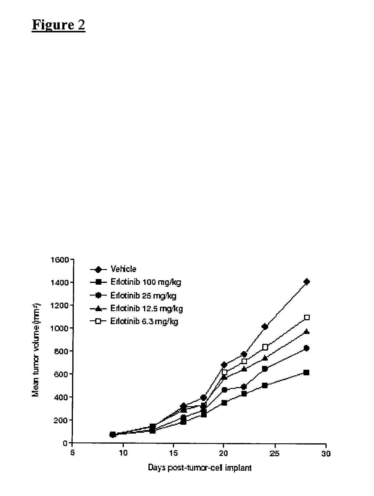 Combined treatment with cisplatin and an epidermal growth factor receptor kinase inhibitor