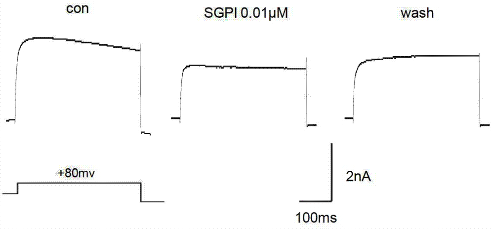 Sea anemone Kunitz-type protease inhibitor and application thereof