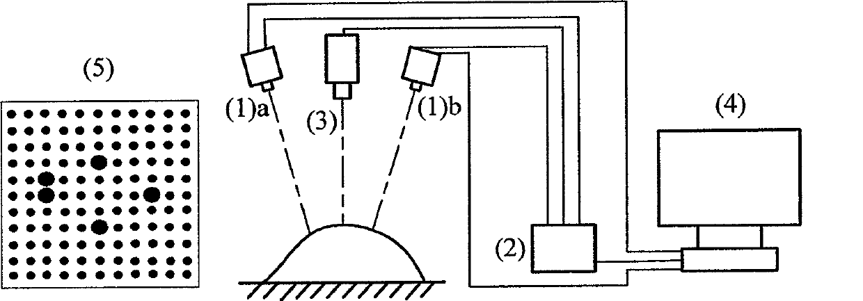 Method and apparatus for measuring three-dimensional curved surface based on instantaneous accidental light irradiation