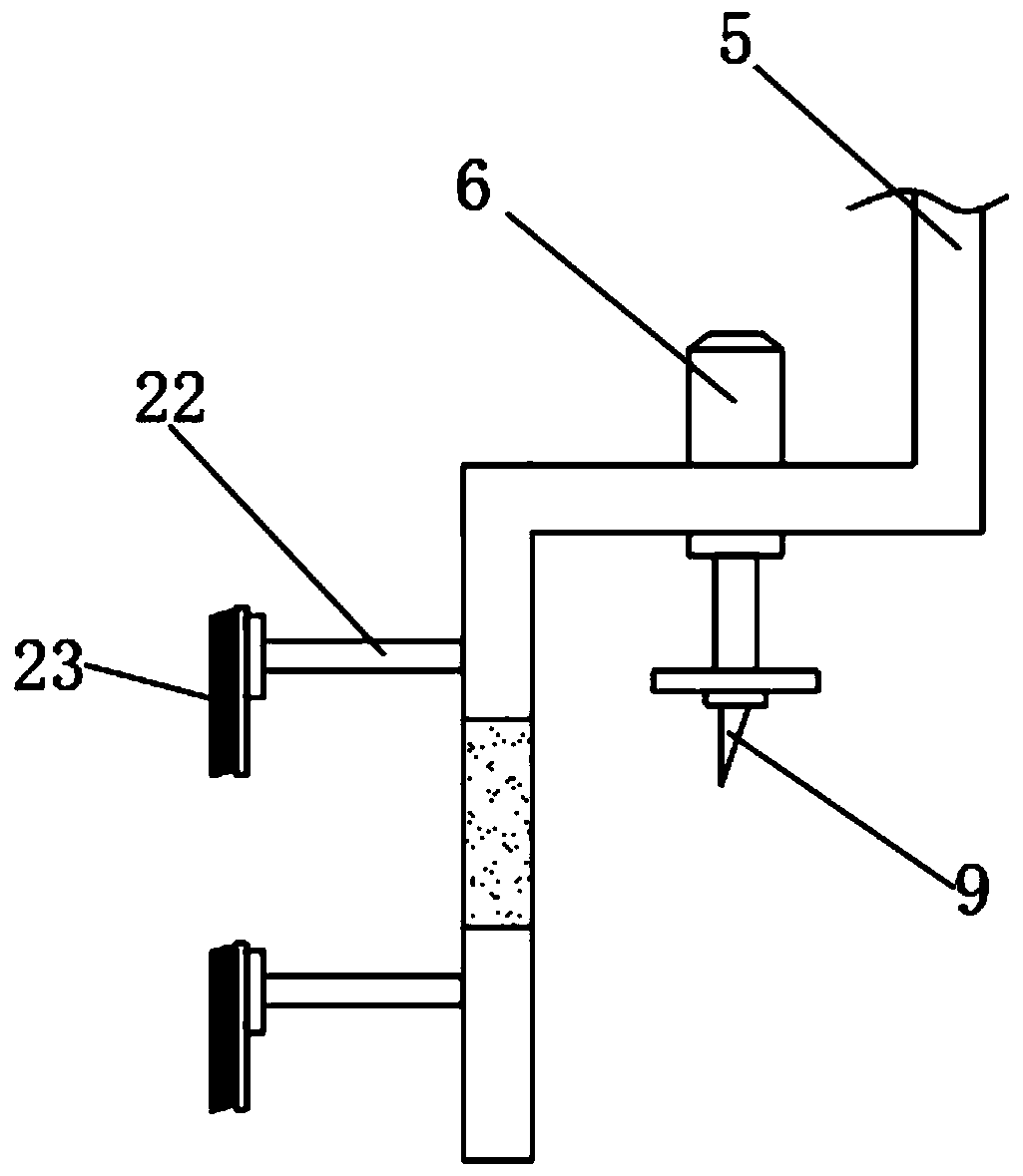 Sugarcane peeling device for agricultural production