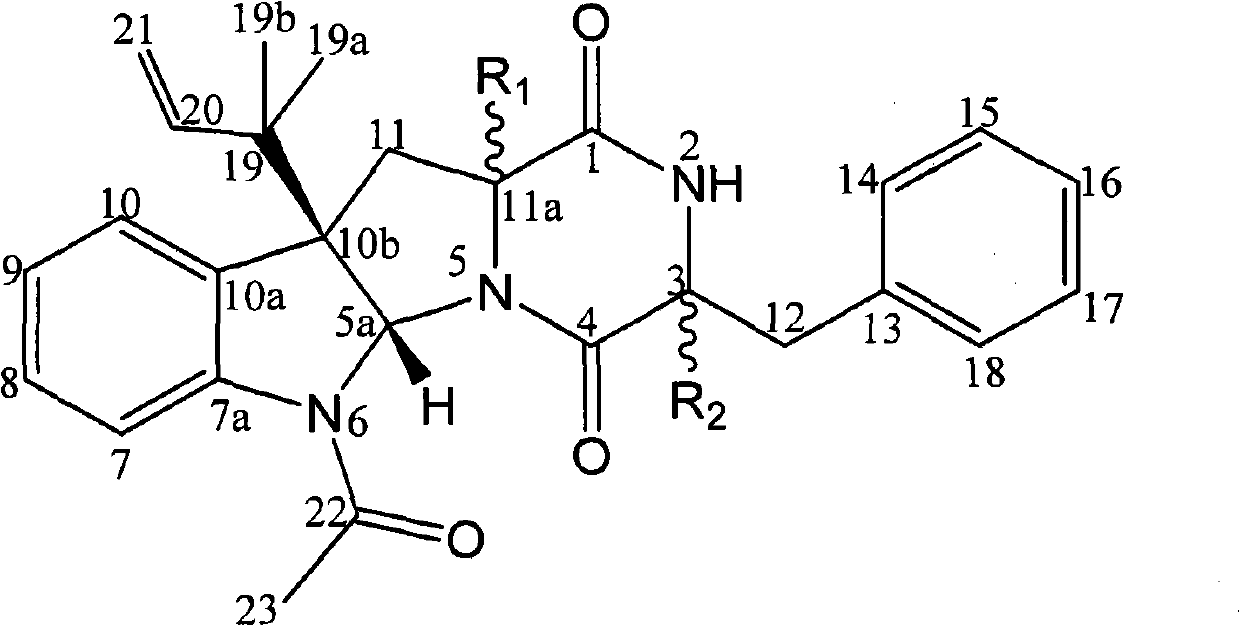 Diketopiperazine compound as well as composition, preparation method and application thereof