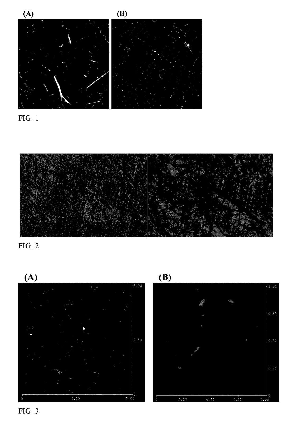 Method for preparation of cellulose nanocrystals and nanofibrils