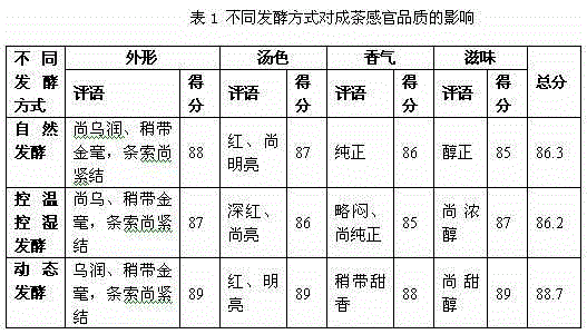 Congou black tea dynamic fermentation method